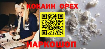 гашик Волжский