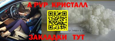 гашик Волжский