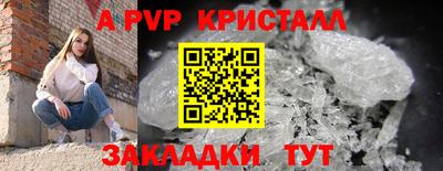 гашик Волжский