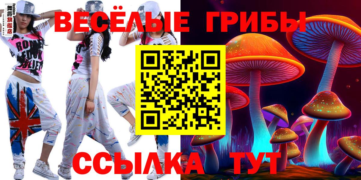 Псилоцибиновые грибы прущие грибы Карпинск